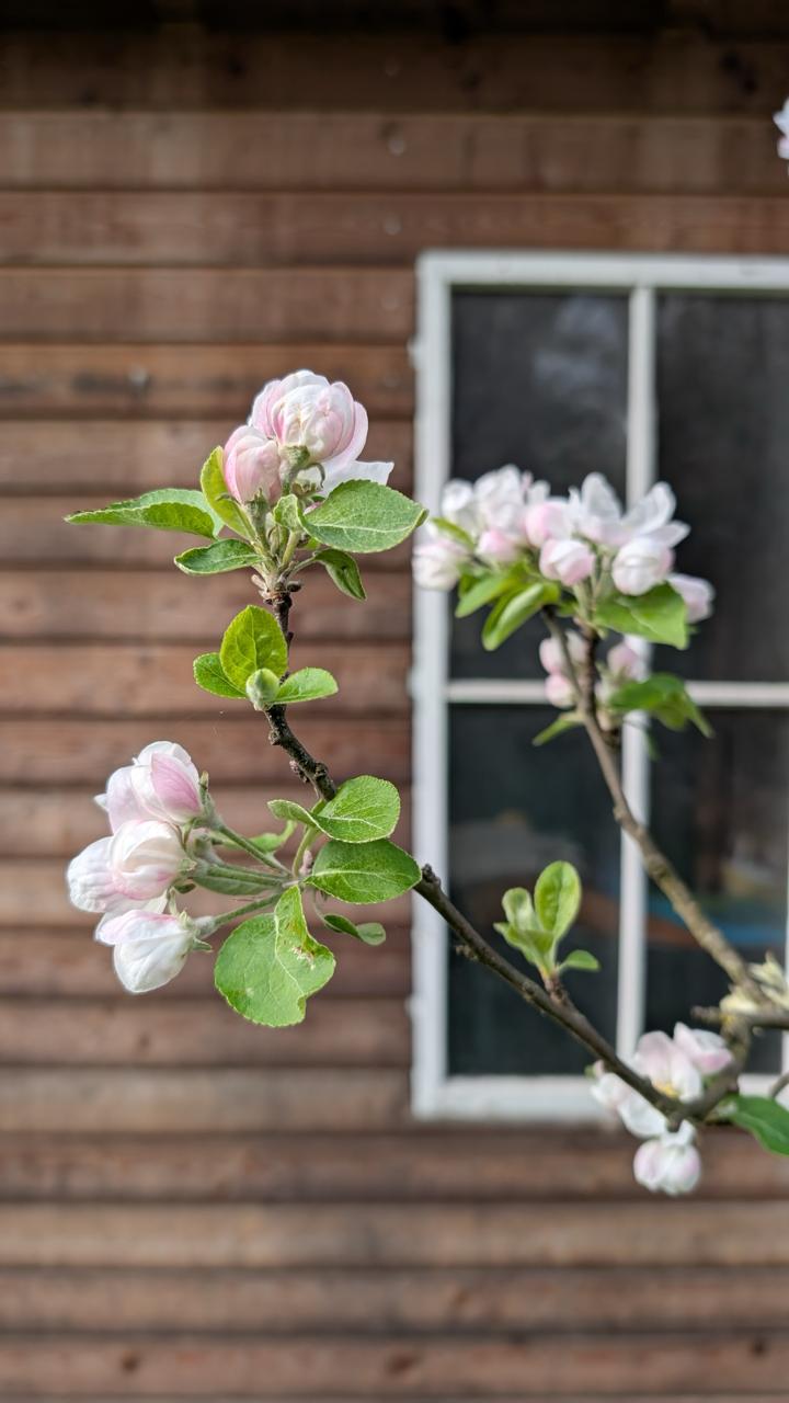 Garten 11 – Biodiversität